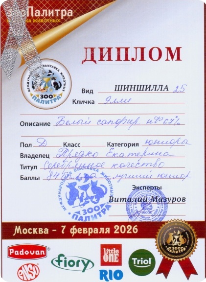 Выставки