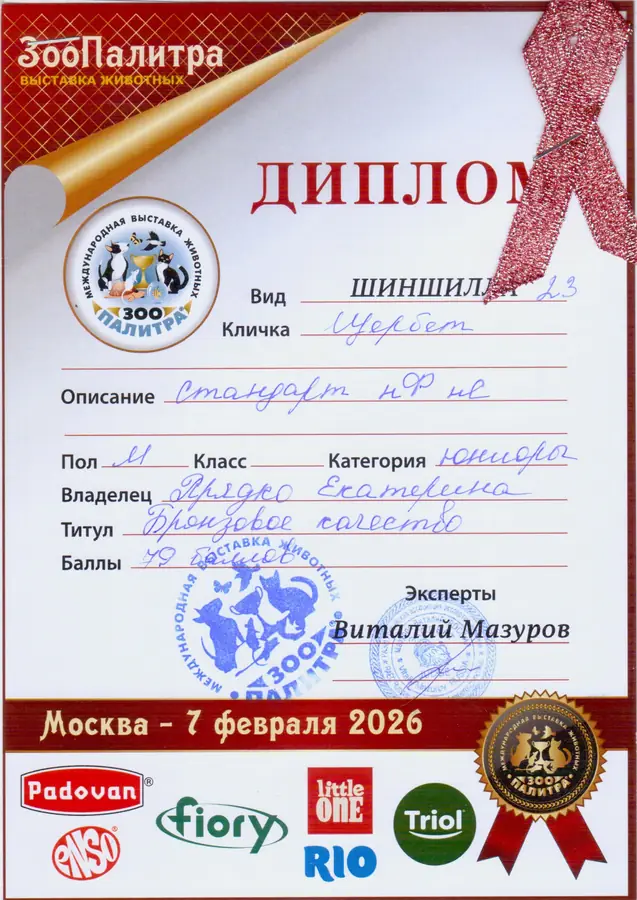 Диплом выставки