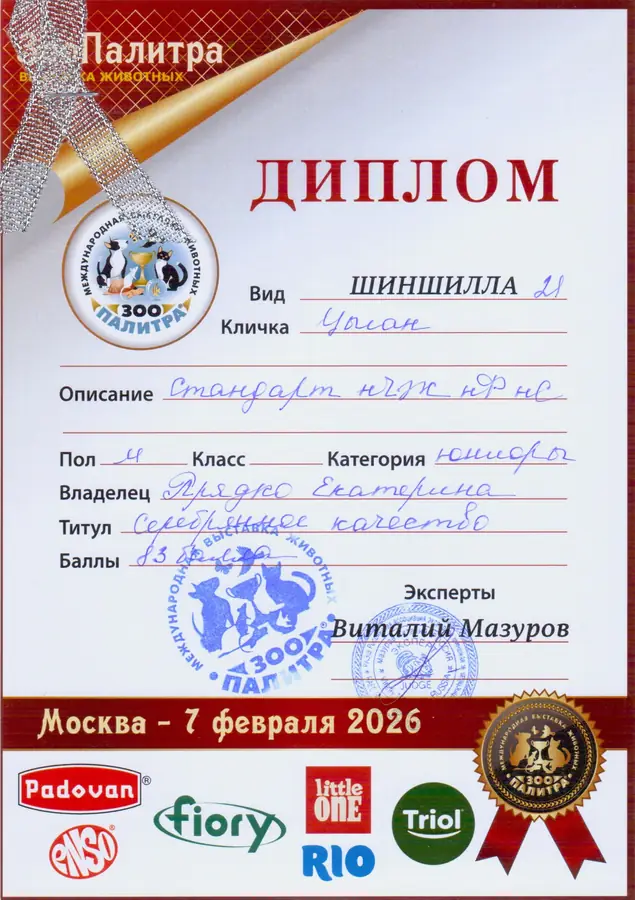 Диплом выставки