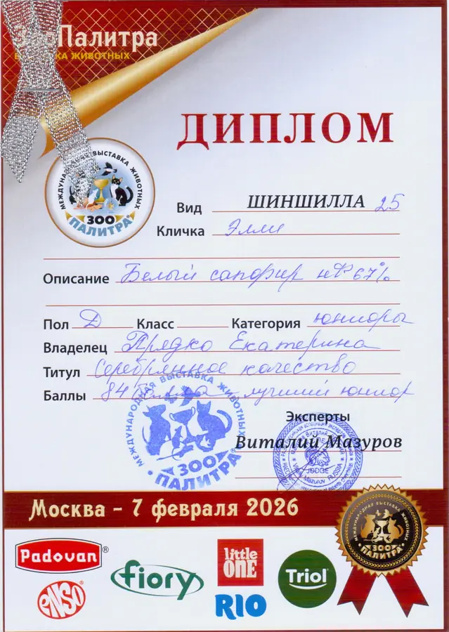 Диплом выставки