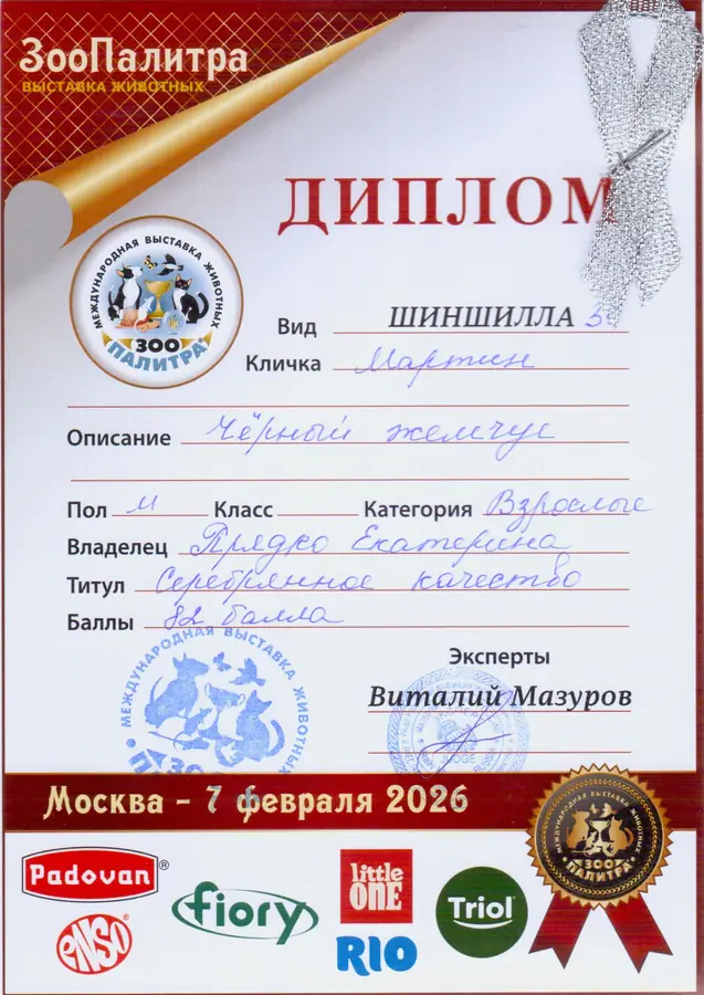 Диплом выставки